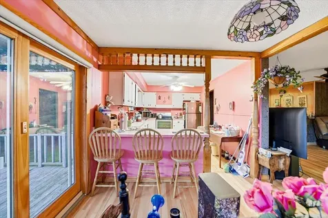 387 Wilmouth Hill Road Shrewsbury VT 05738