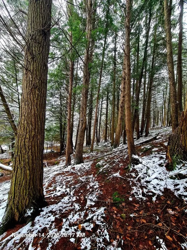 742 Highland Avenue Newport City VT 05855