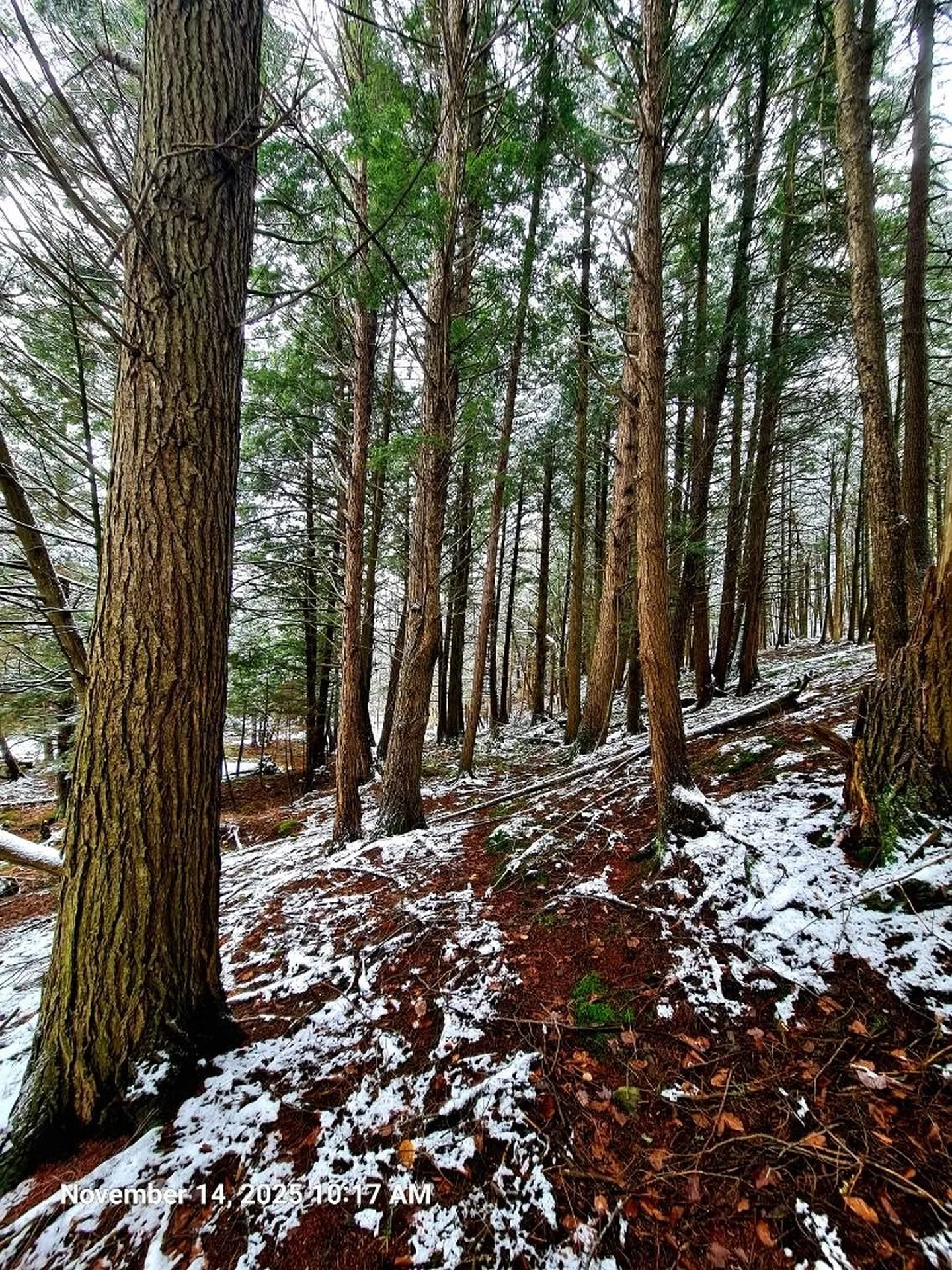 742 Highland Avenue Newport City VT 05855