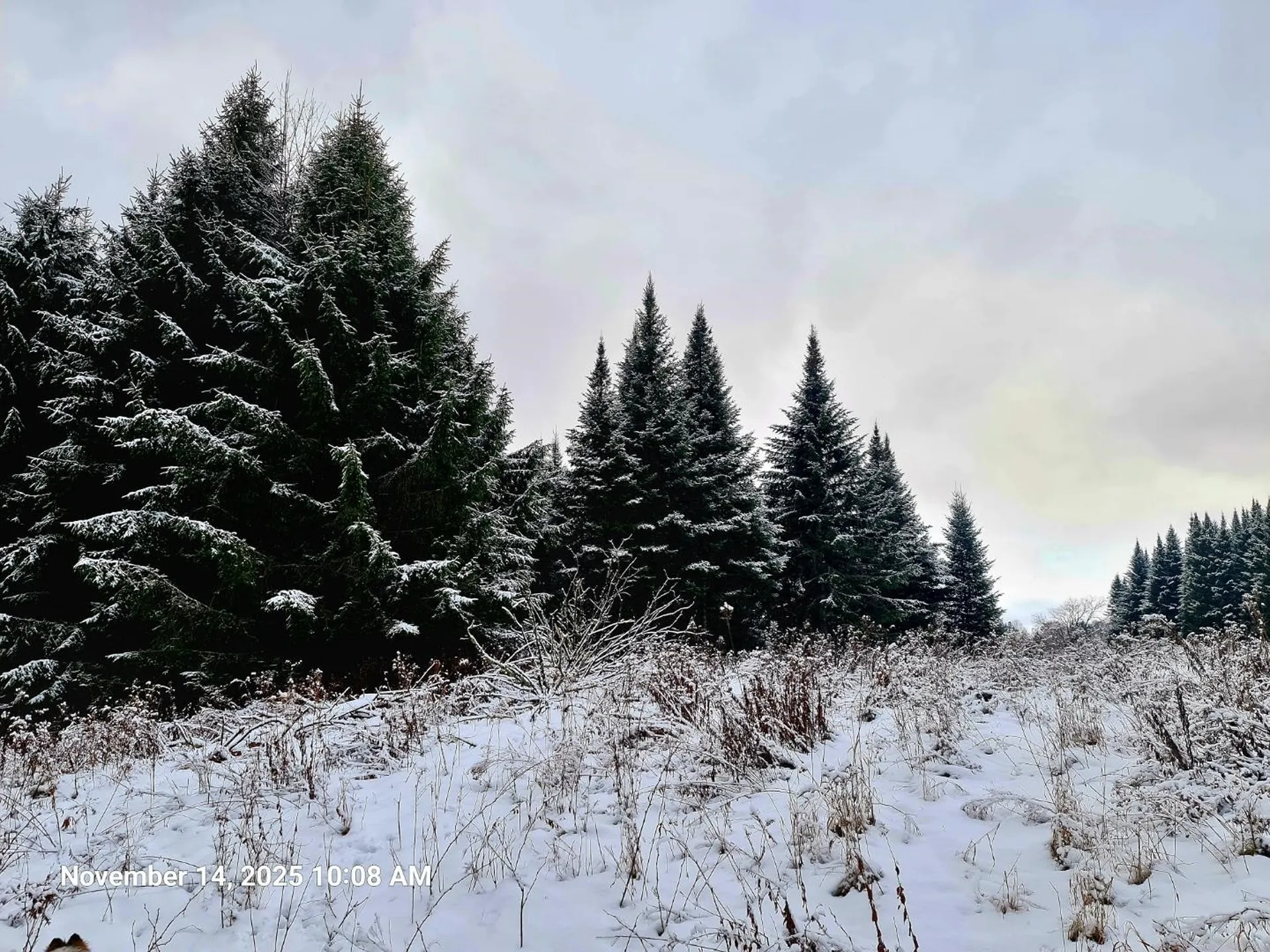 742 Highland Avenue Newport City VT 05855