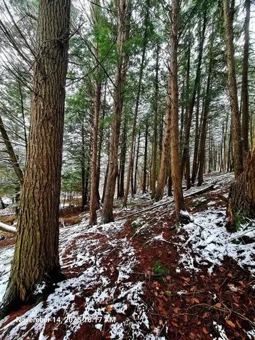 742 Highland Avenue Newport City VT 05855