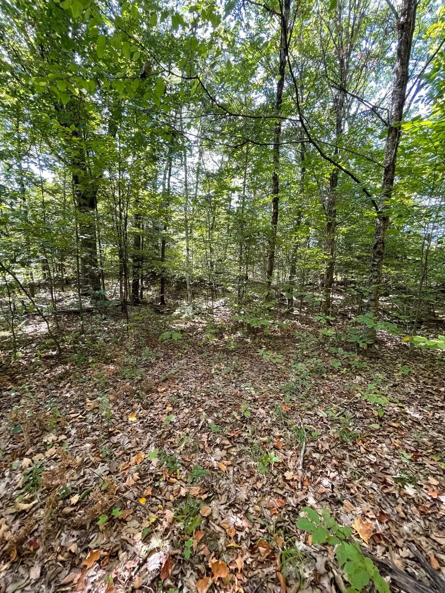 1868 Pond Road Fletcher VT 05464