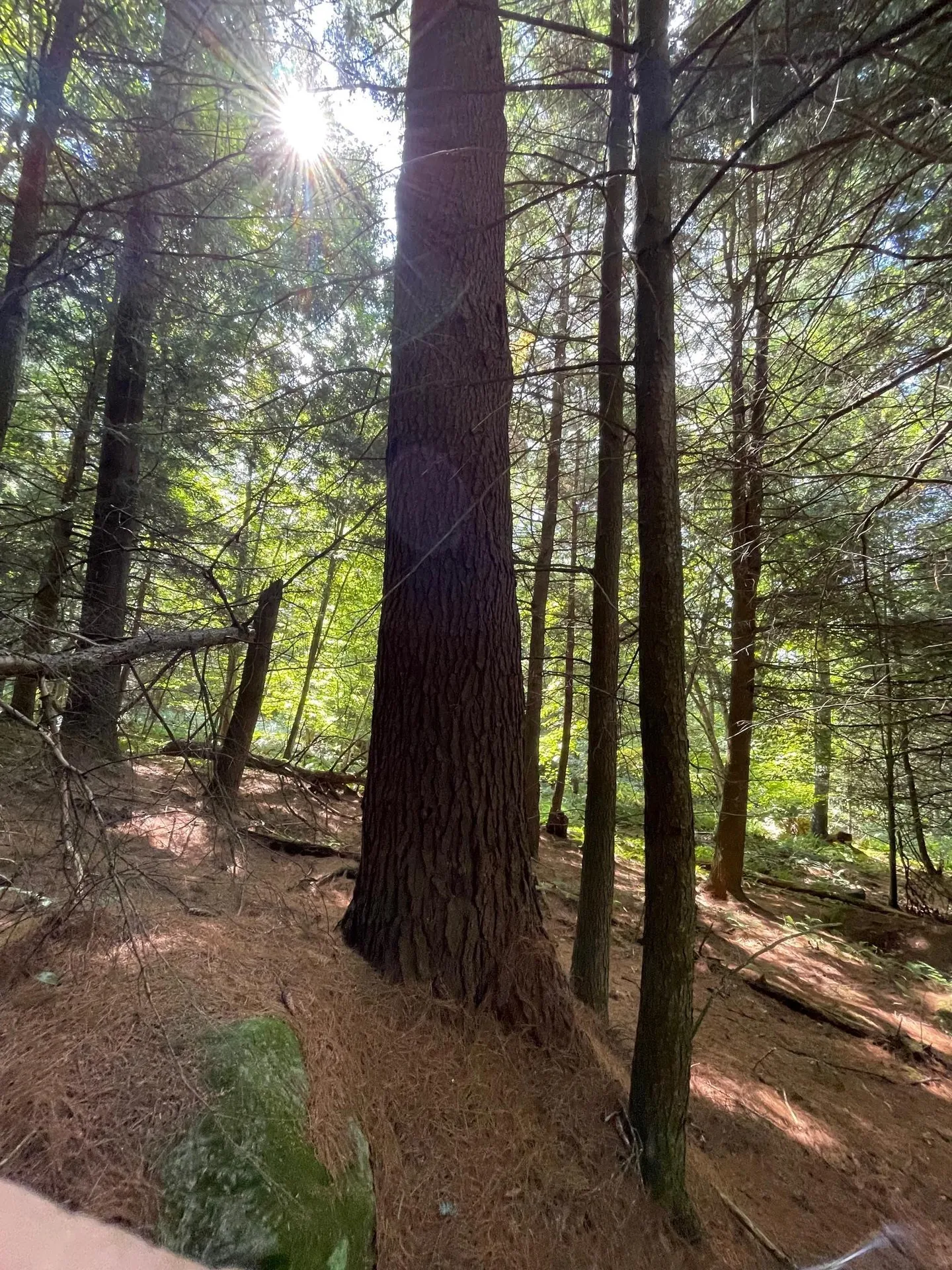 1868 Pond Road Fletcher VT 05464