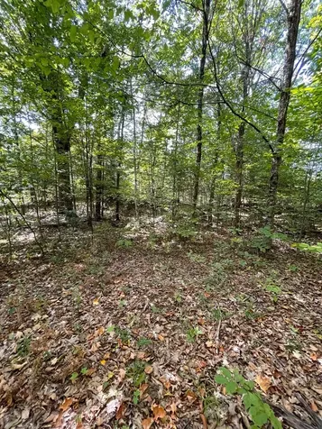 1868 Pond Road Fletcher VT 05464