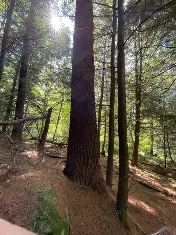 1868 Pond Road Fletcher VT 05464