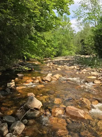 682 E. Manchester Road Manchester VT 05255