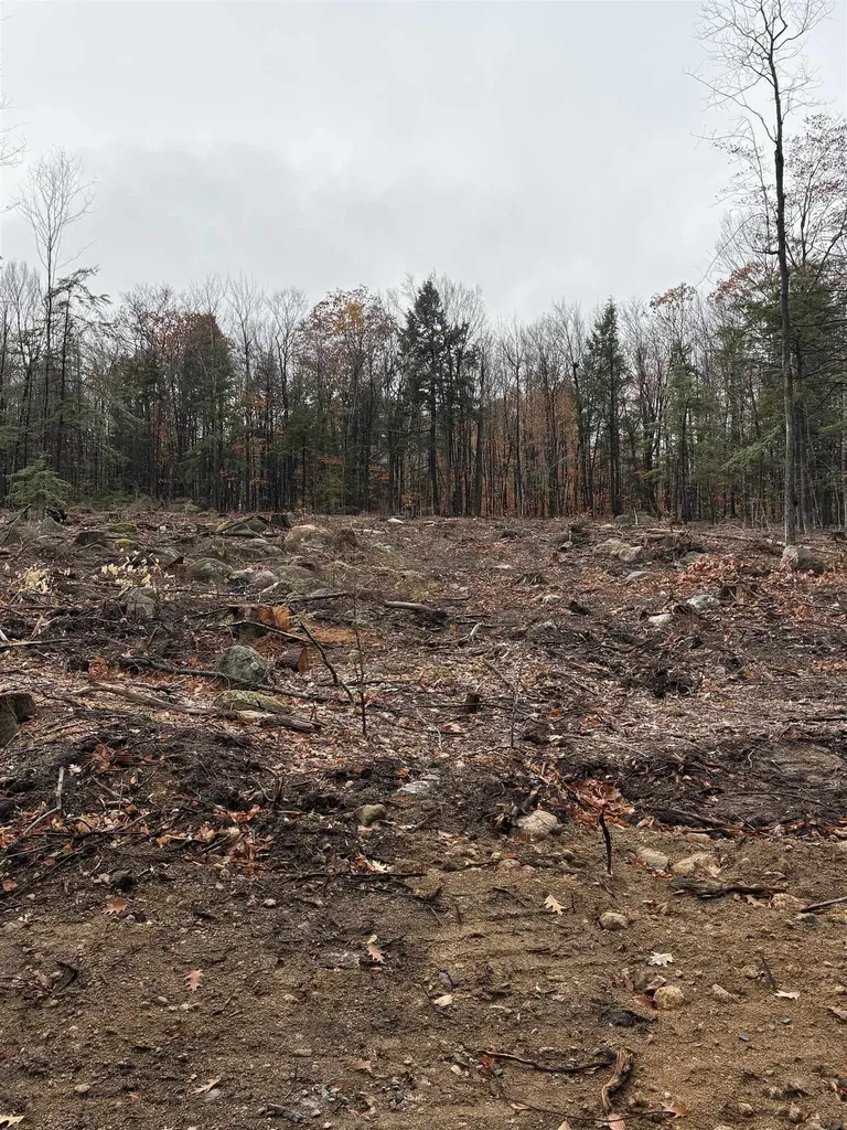 8 Sugarloaf Drive Ossipee NH 03814