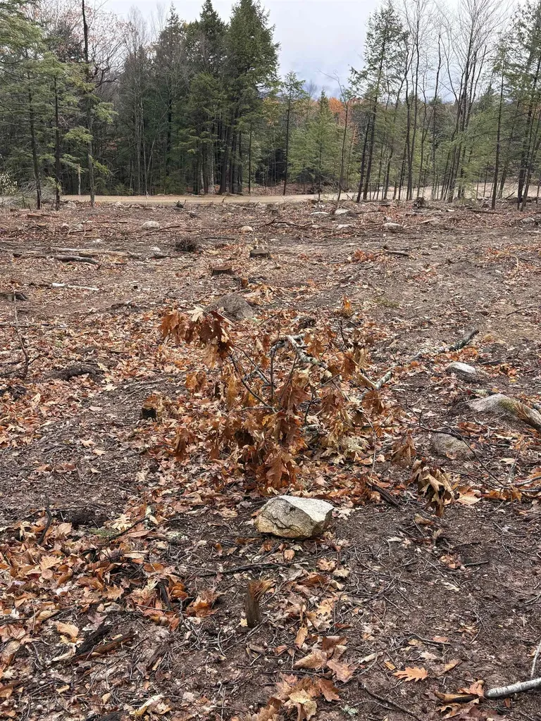 8 Sugarloaf Drive Ossipee NH 03814