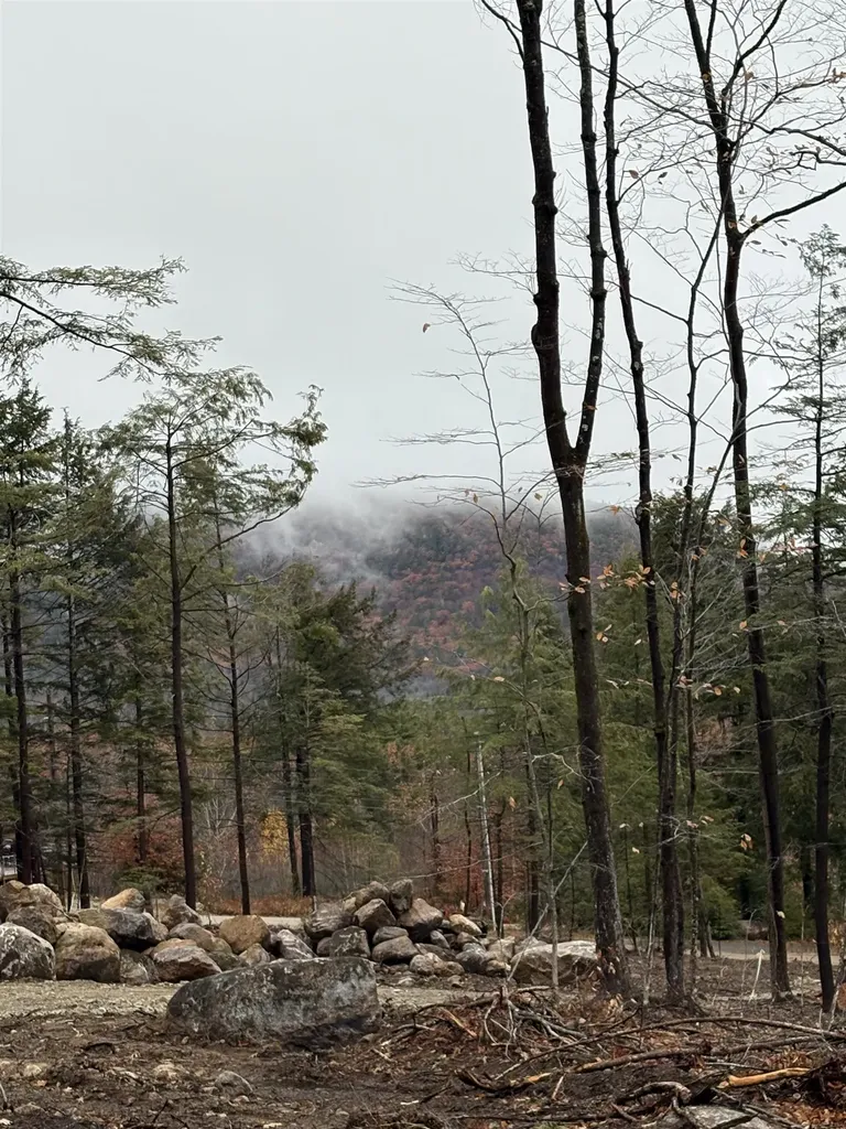 8 Sugarloaf Drive Ossipee NH 03814