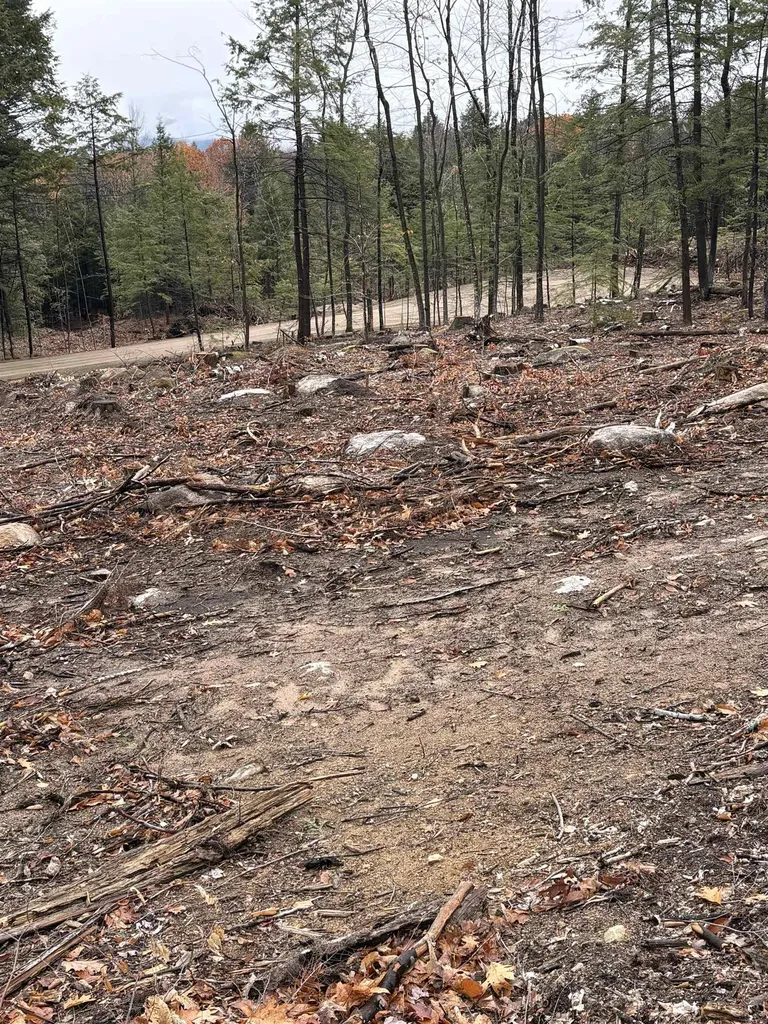 8 Sugarloaf Drive Ossipee NH 03814