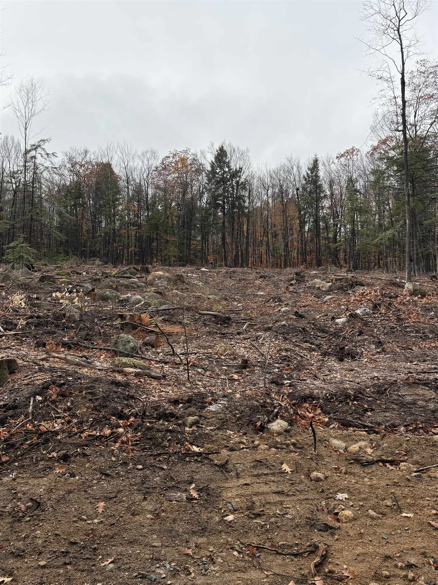 8 Sugarloaf Drive Ossipee NH 03814