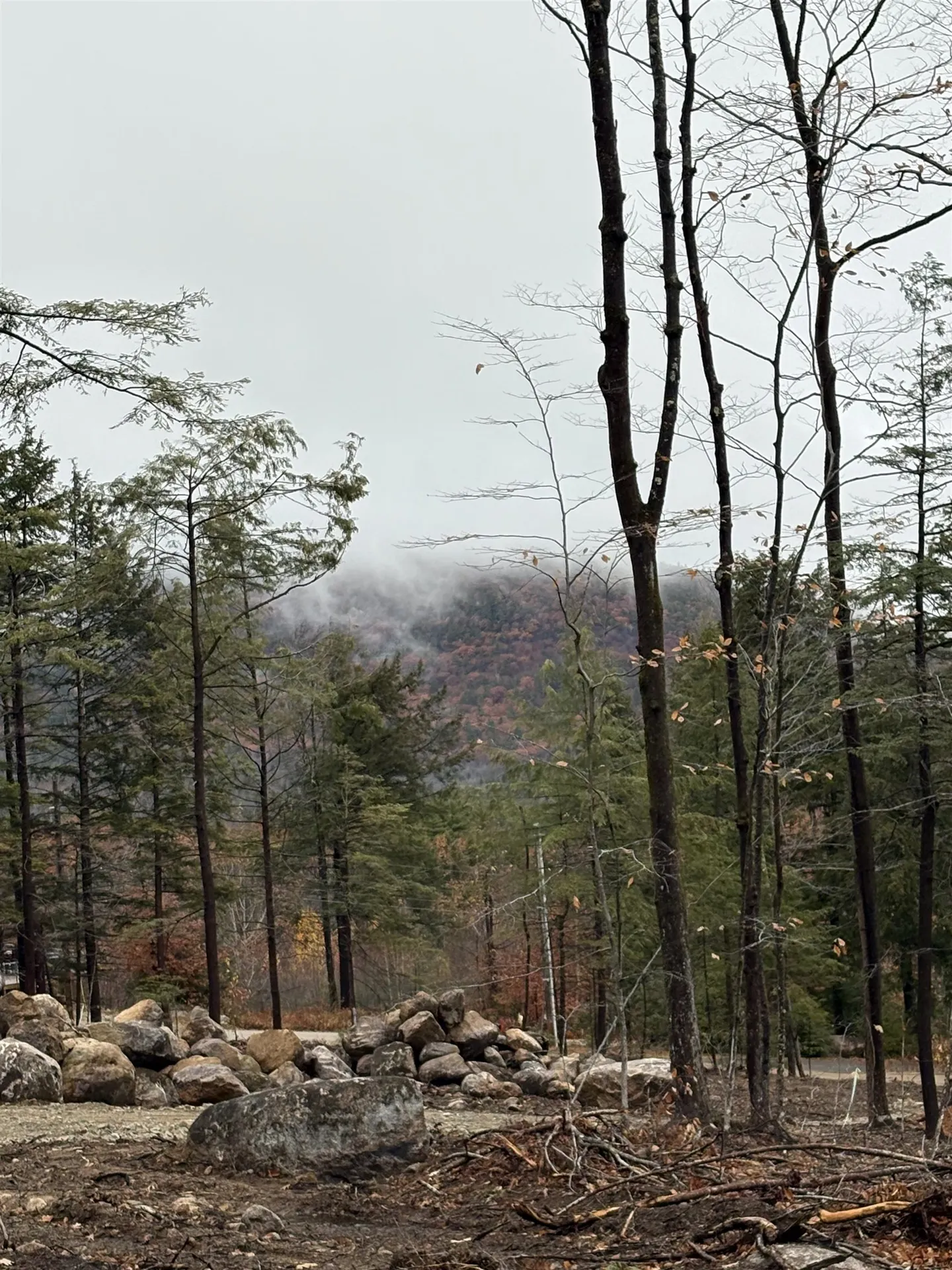 8 Sugarloaf Drive Ossipee NH 03814