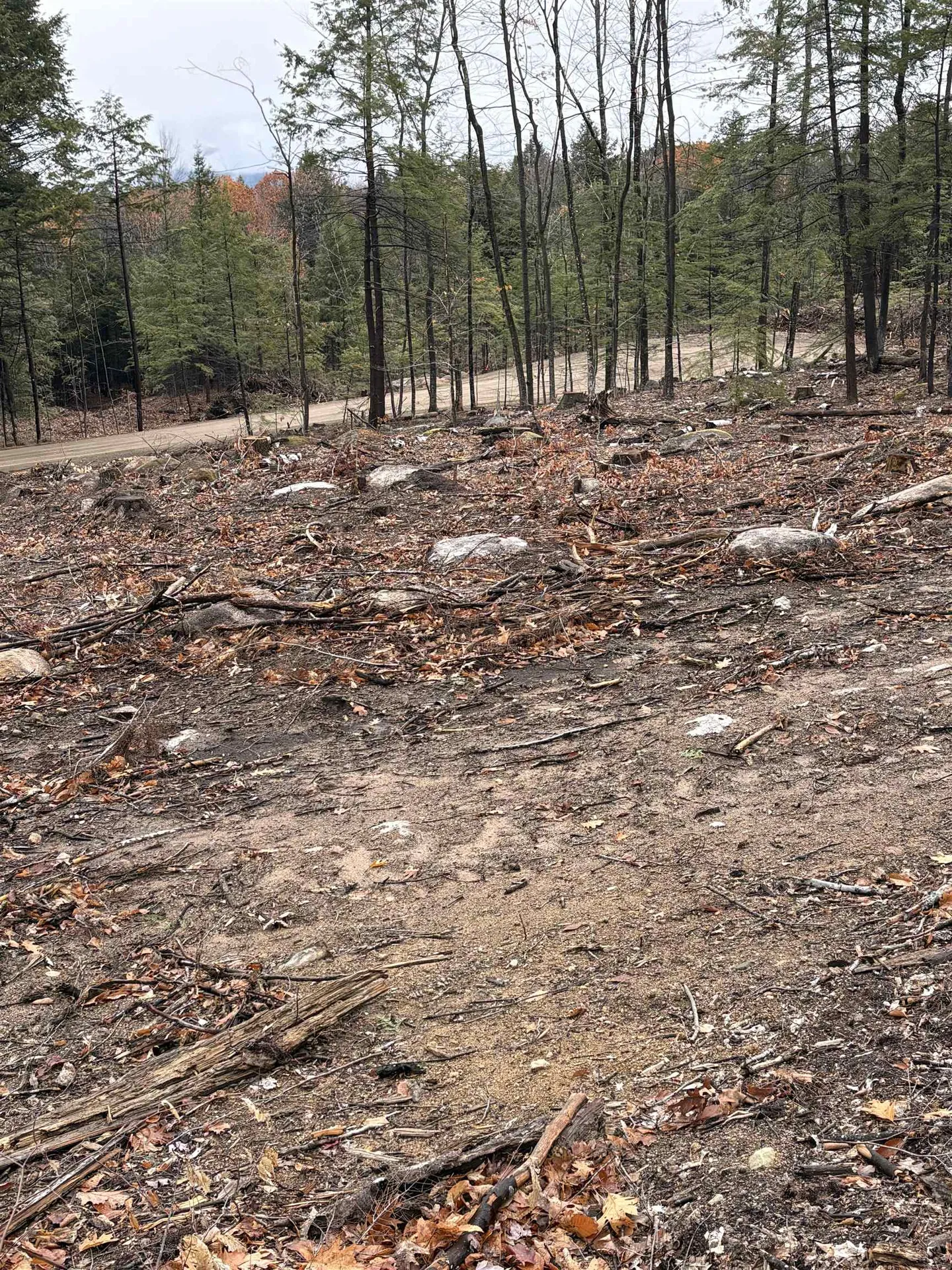 8 Sugarloaf Drive Ossipee NH 03814