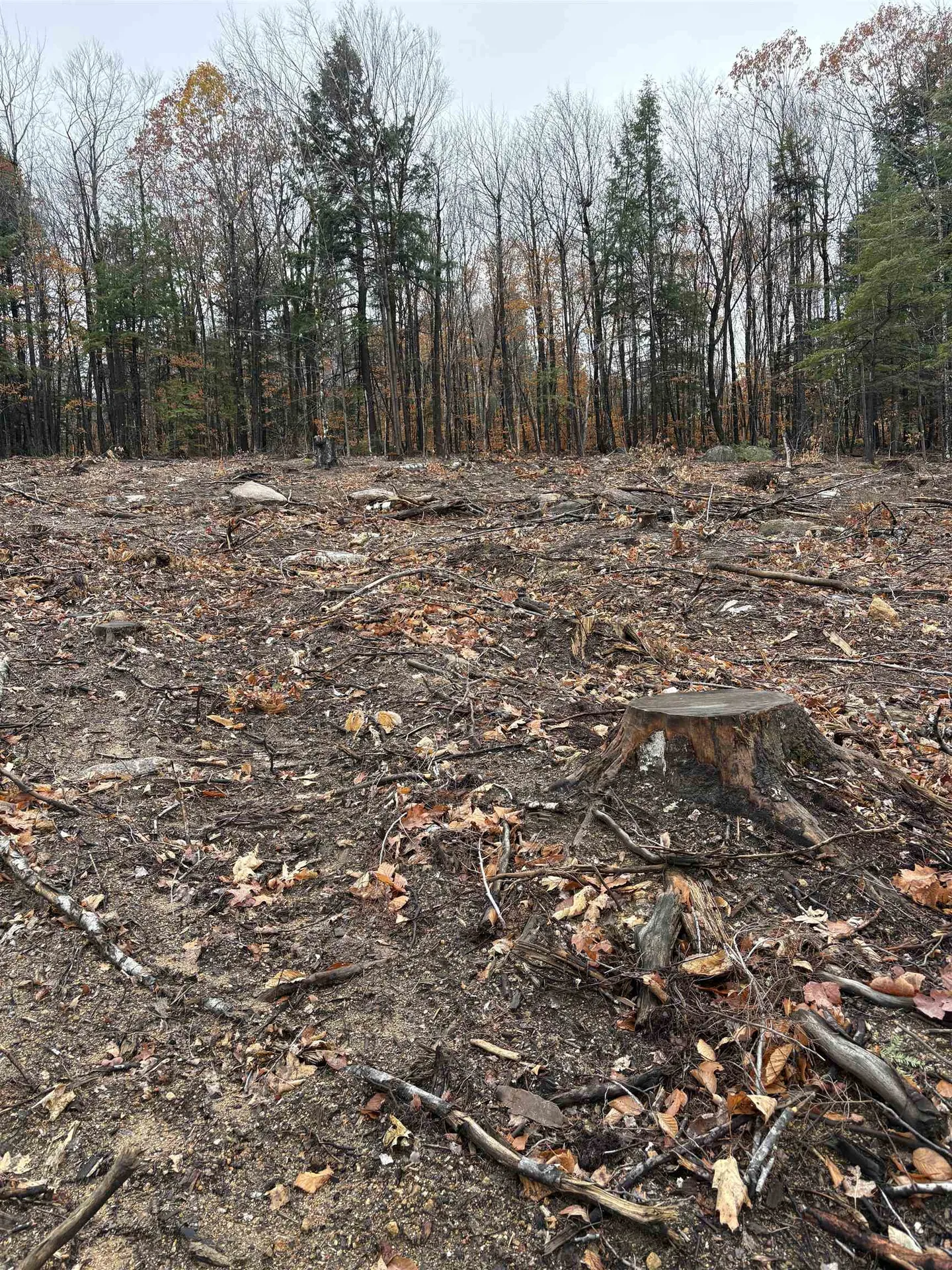 8 Sugarloaf Drive Ossipee NH 03814