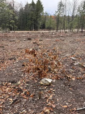 8 Sugarloaf Drive Ossipee NH 03814