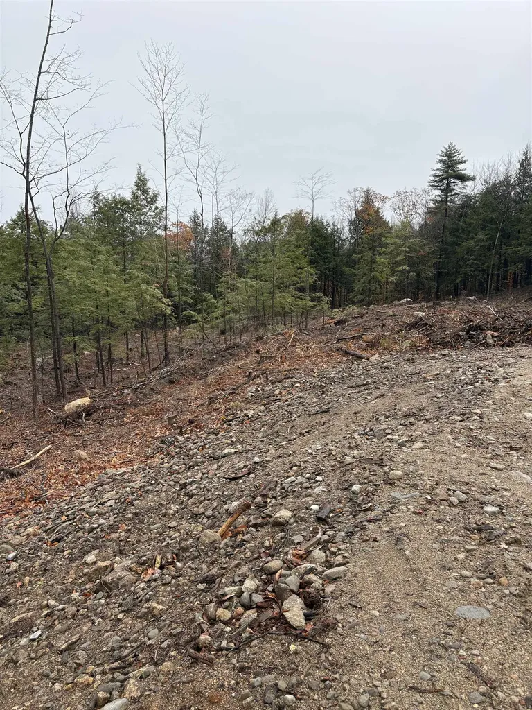 9 Sugarloaf Drive Ossipee NH 03814