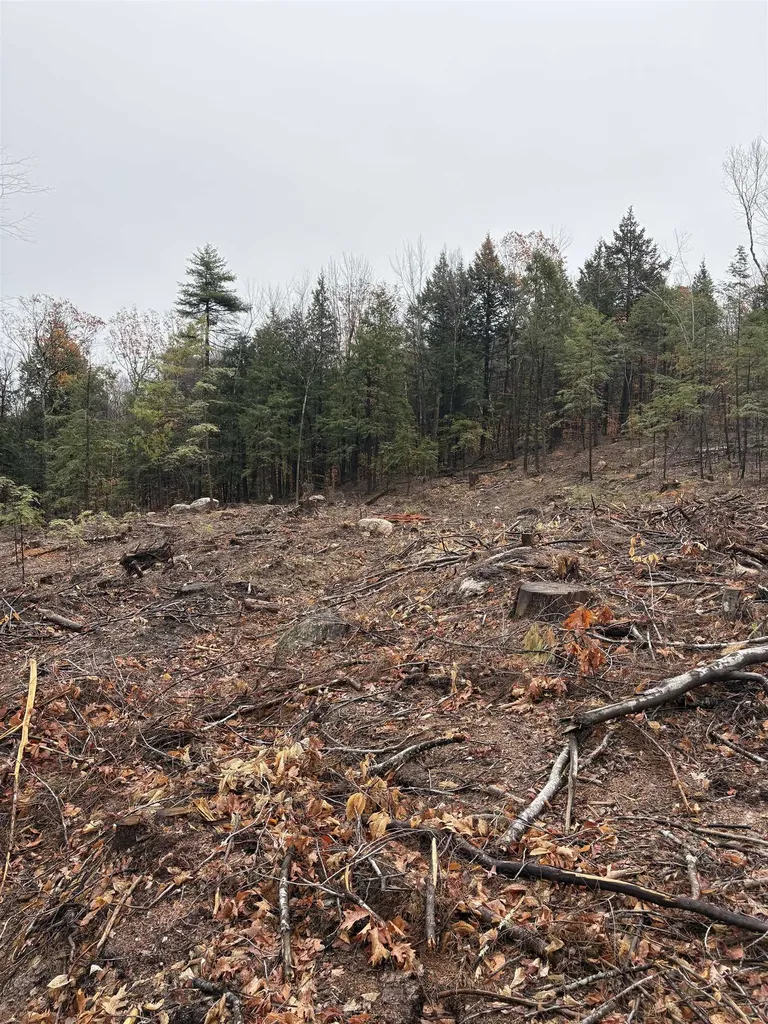 9 Sugarloaf Drive Ossipee NH 03814