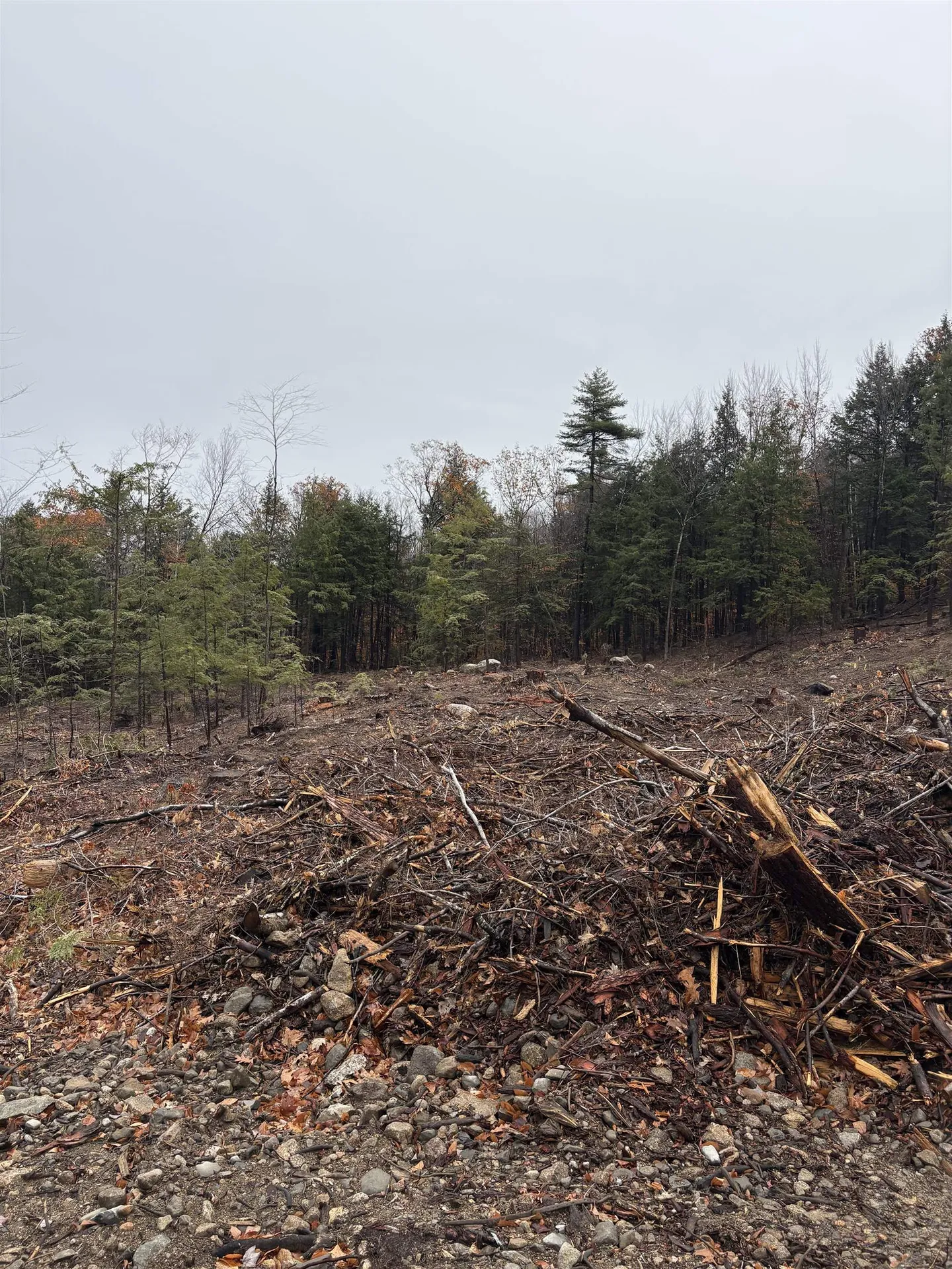 9 Sugarloaf Drive Ossipee NH 03814