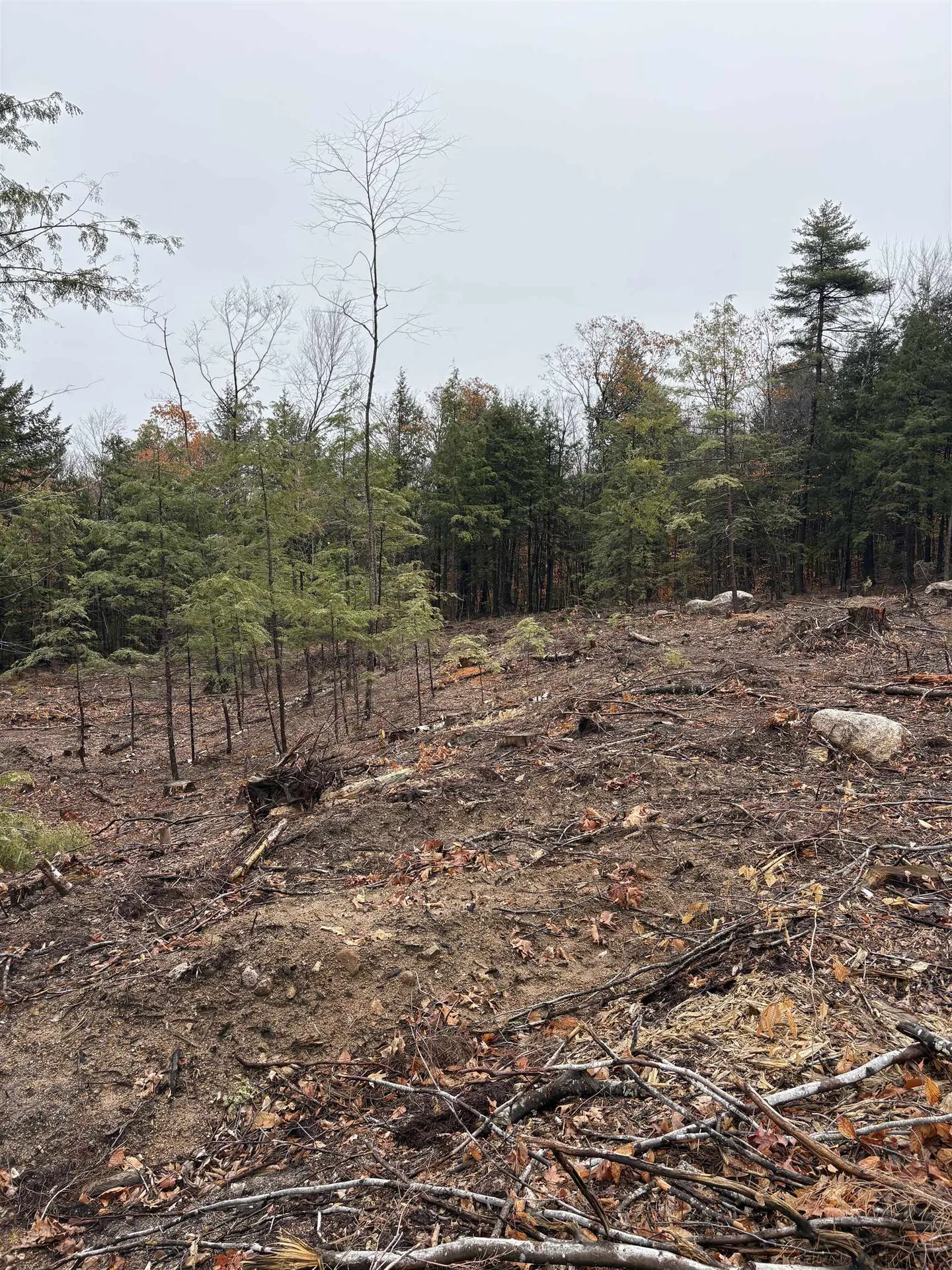 9 Sugarloaf Drive Ossipee NH 03814