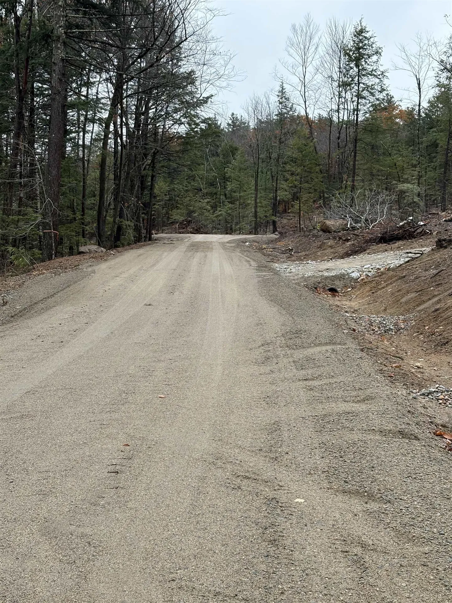 9 Sugarloaf Drive Ossipee NH 03814