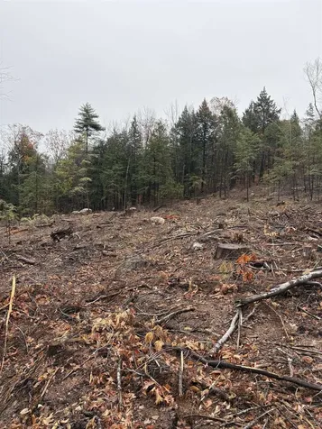 9 Sugarloaf Drive Ossipee NH 03814