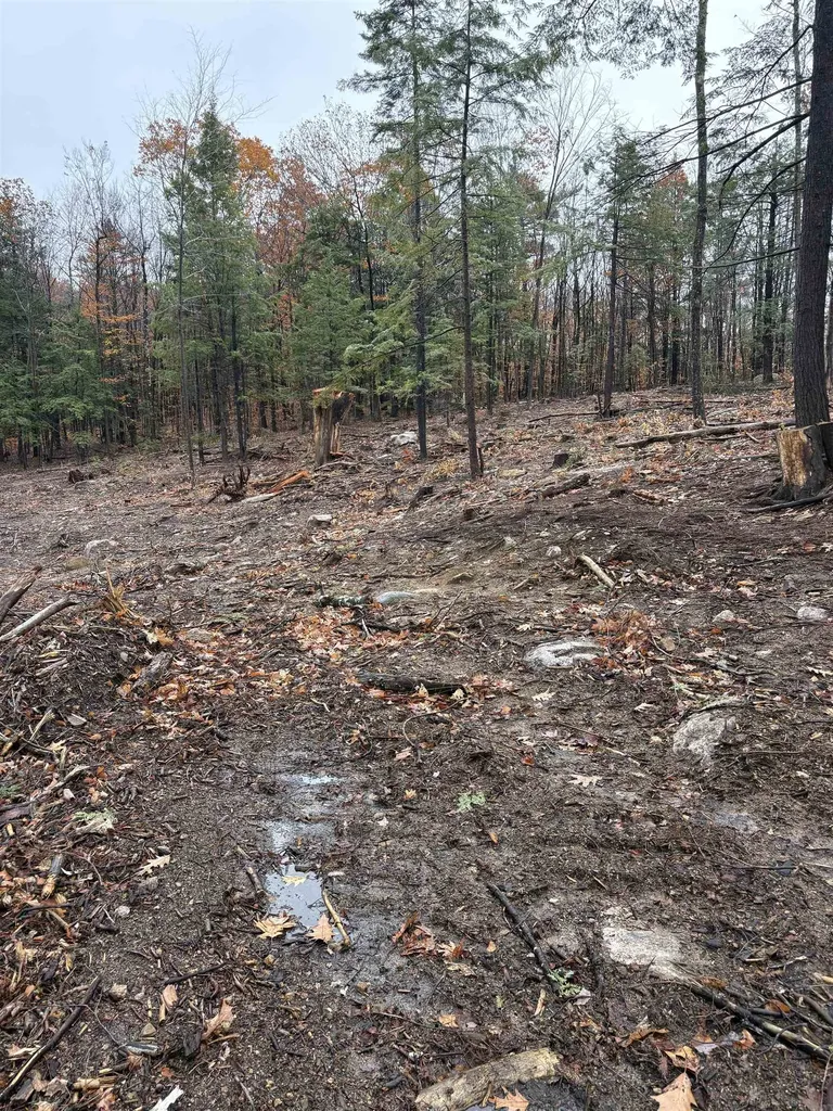 12 Sugarloaf Drive Ossipee NH 03814