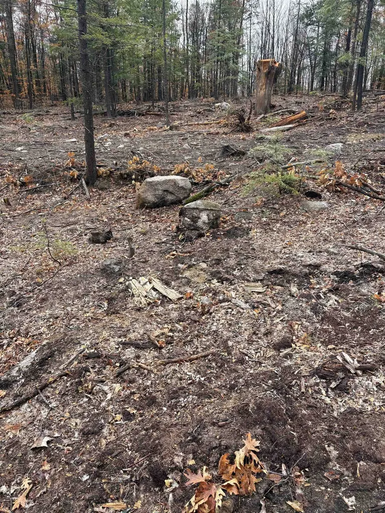 12 Sugarloaf Drive Ossipee NH 03814