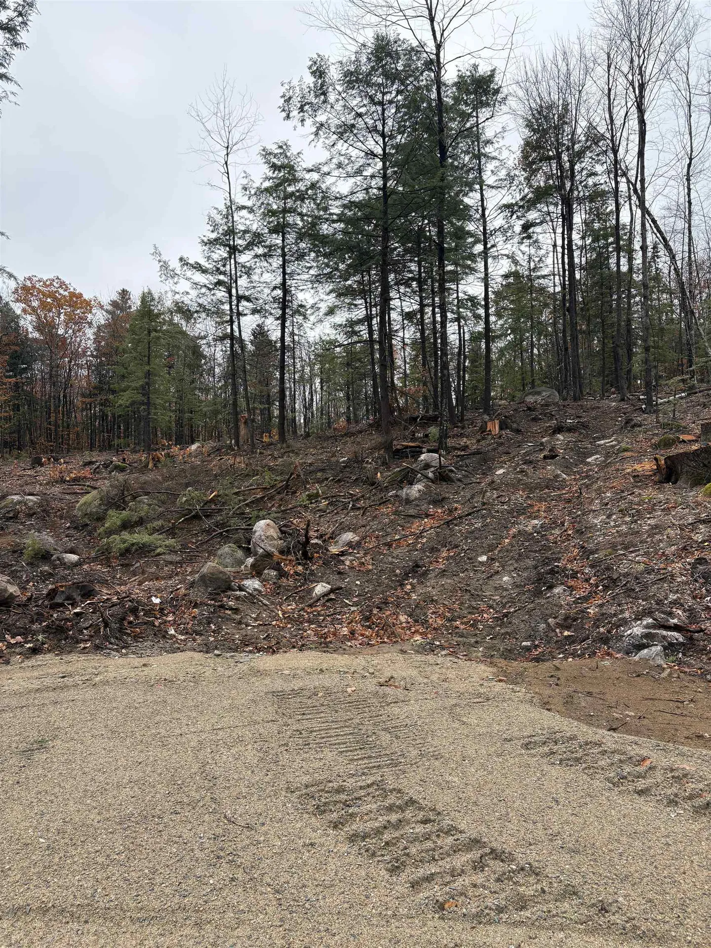 12 Sugarloaf Drive Ossipee NH 03814