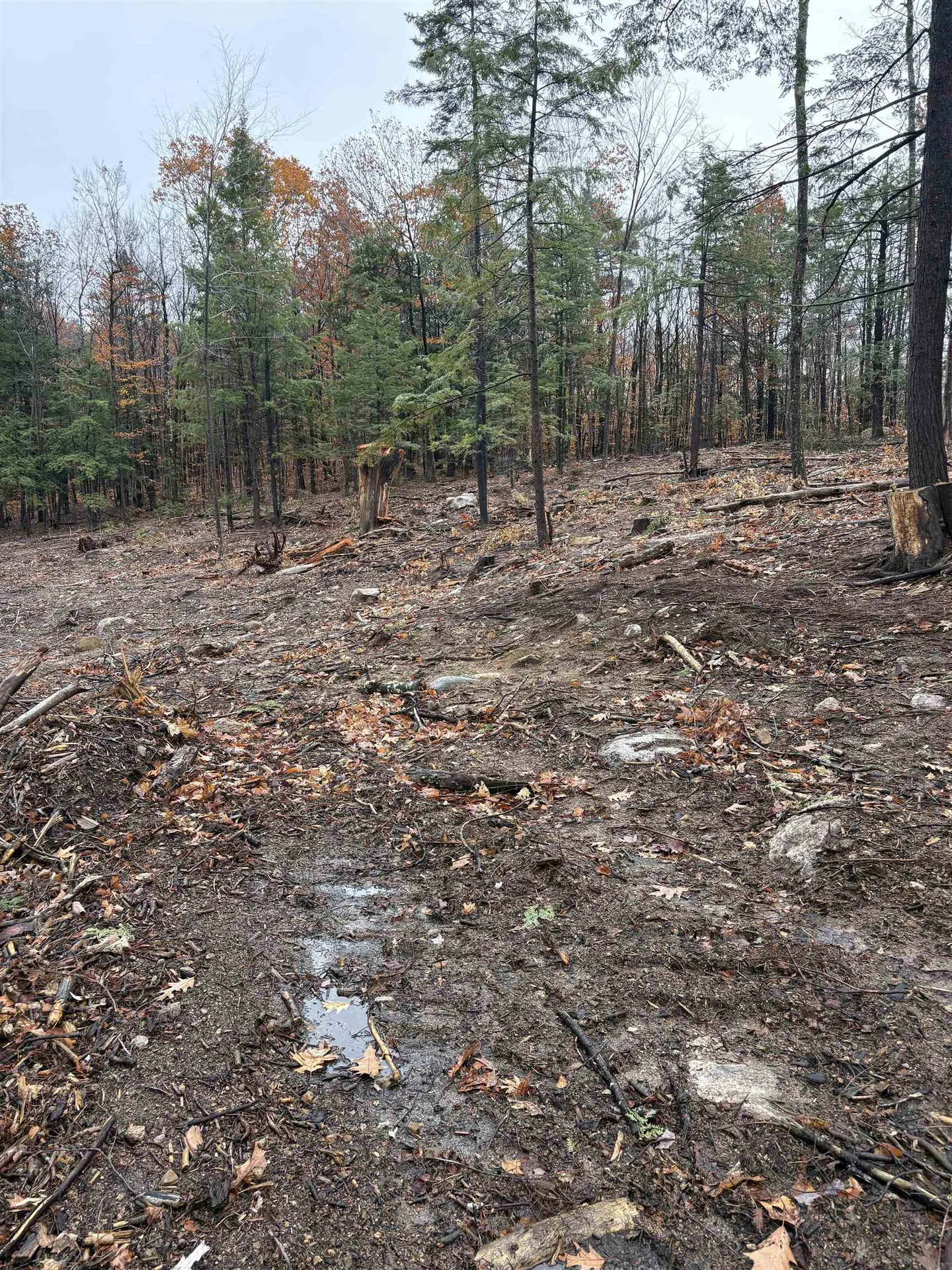 12 Sugarloaf Drive Ossipee NH 03814