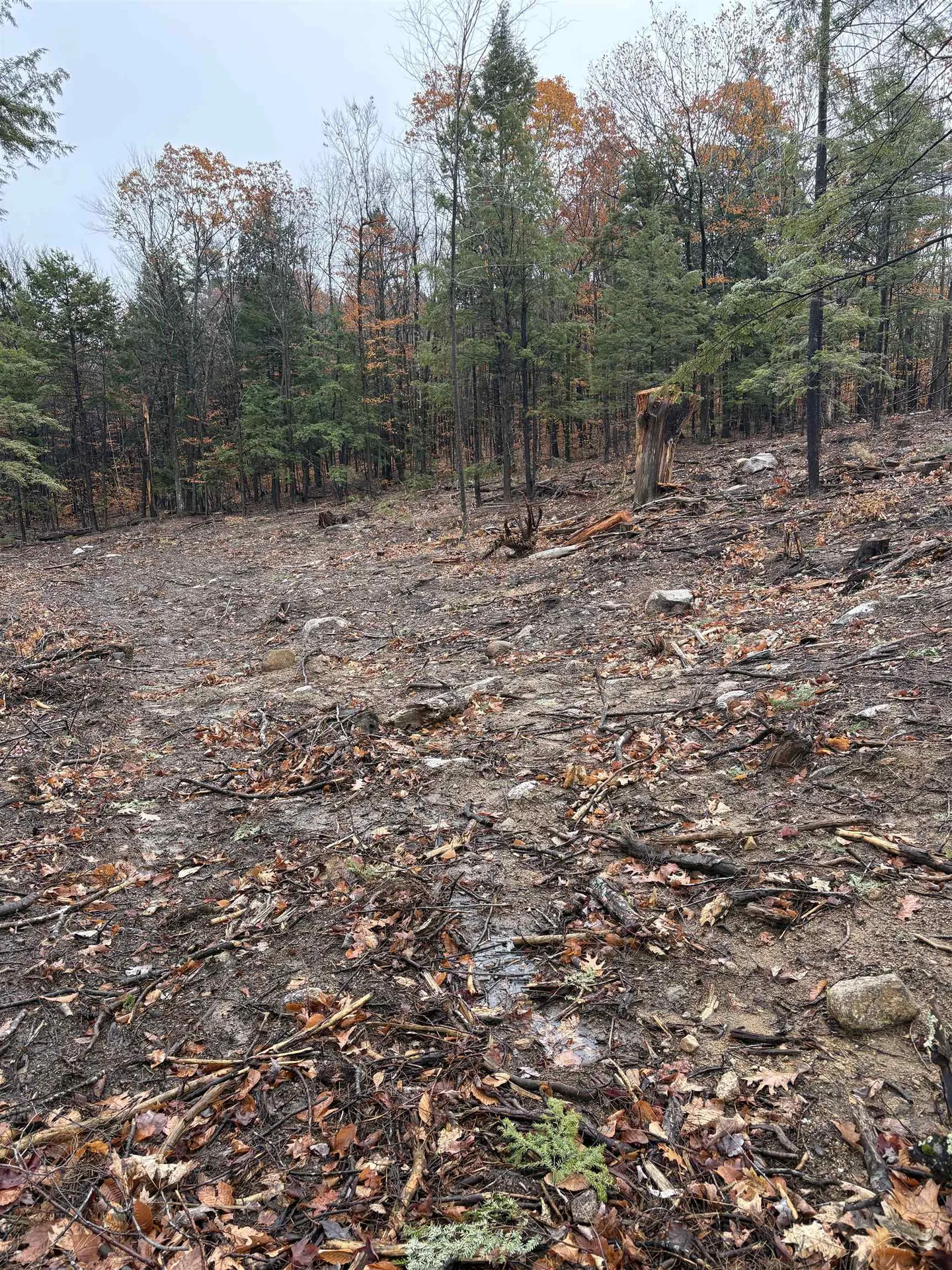 12 Sugarloaf Drive Ossipee NH 03814