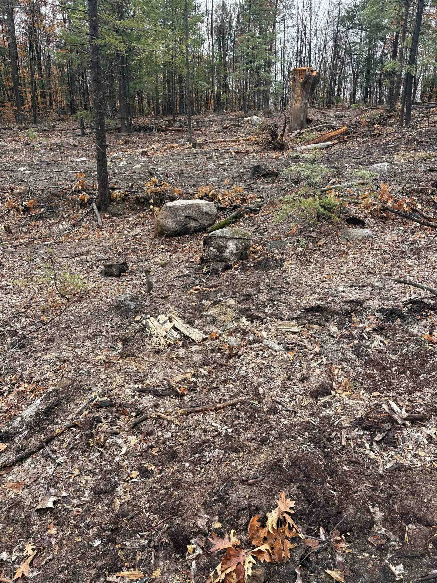 12 Sugarloaf Drive Ossipee NH 03814