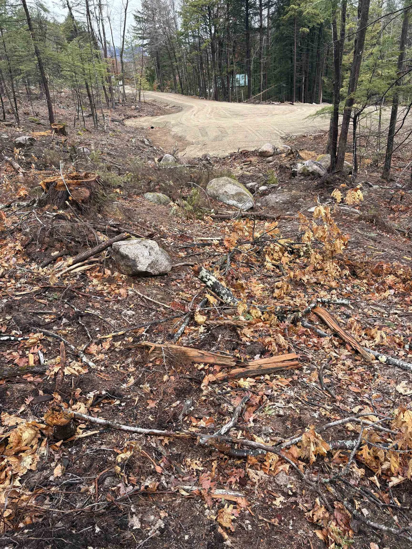 12 Sugarloaf Drive Ossipee NH 03814