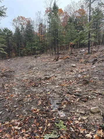 12 Sugarloaf Drive Ossipee NH 03814