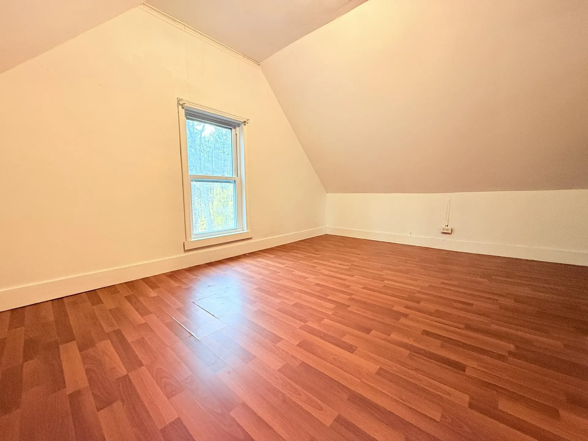 33 Cottage Avenue Springfield VT 05156