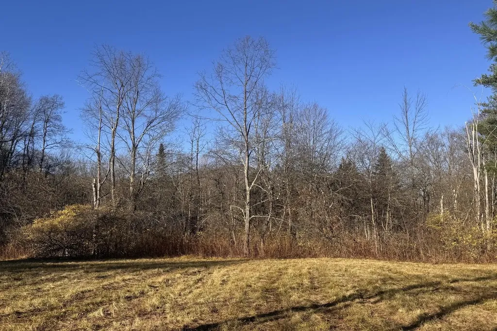 Lot 21 Sunderland Hill Road Sunderland VT 05250