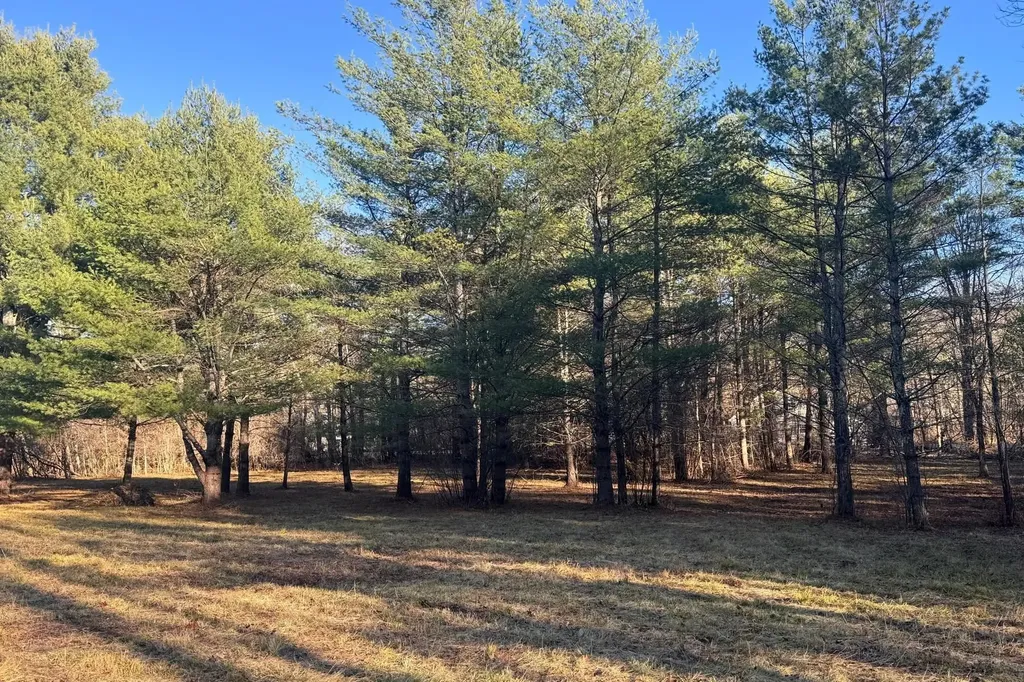 Lot 21 Sunderland Hill Road Sunderland VT 05250