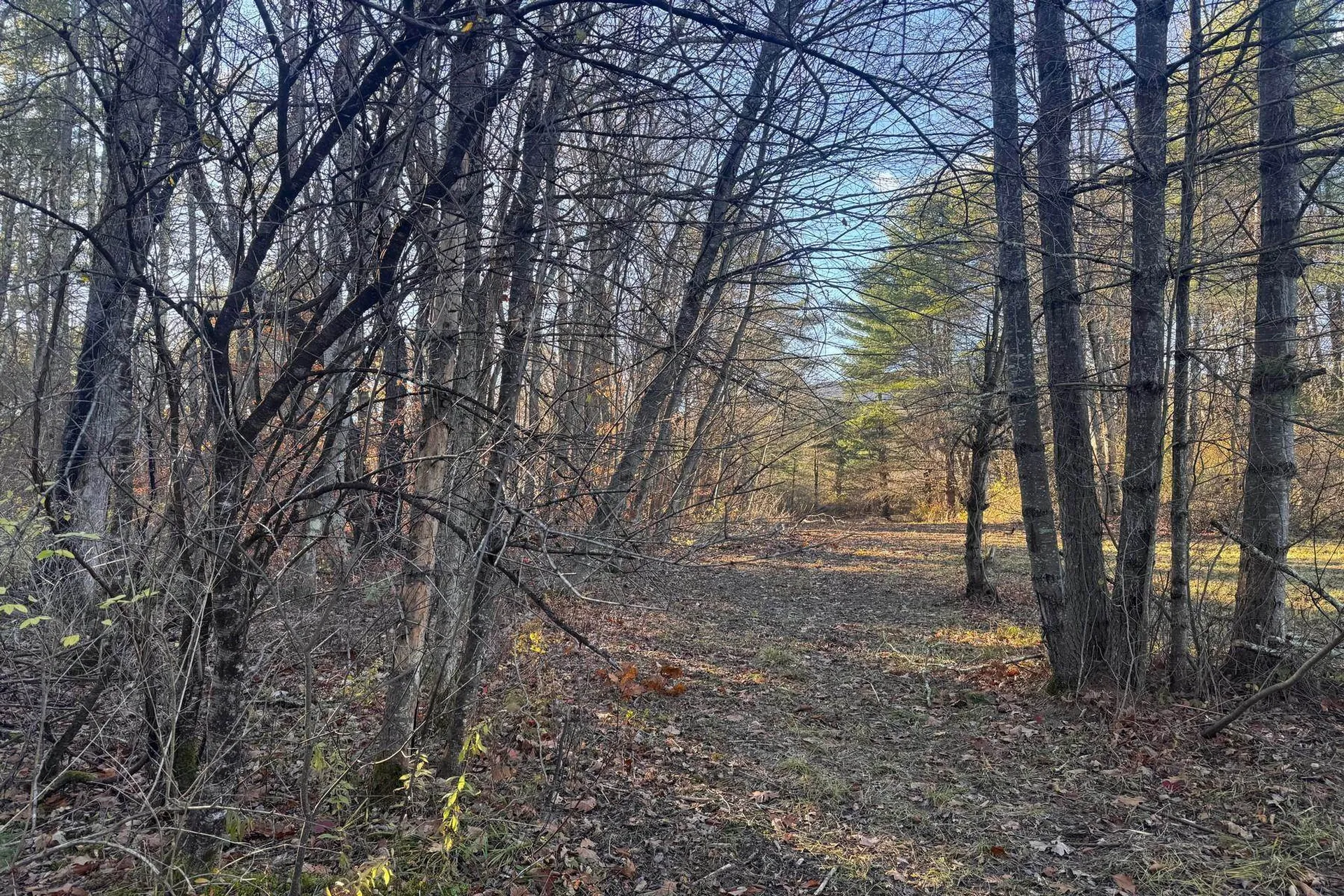 Lot 21 Sunderland Hill Road Sunderland VT 05250