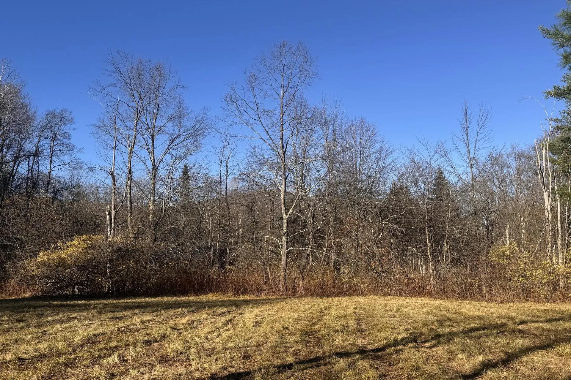 Lot 21 Sunderland Hill Road Sunderland VT 05250