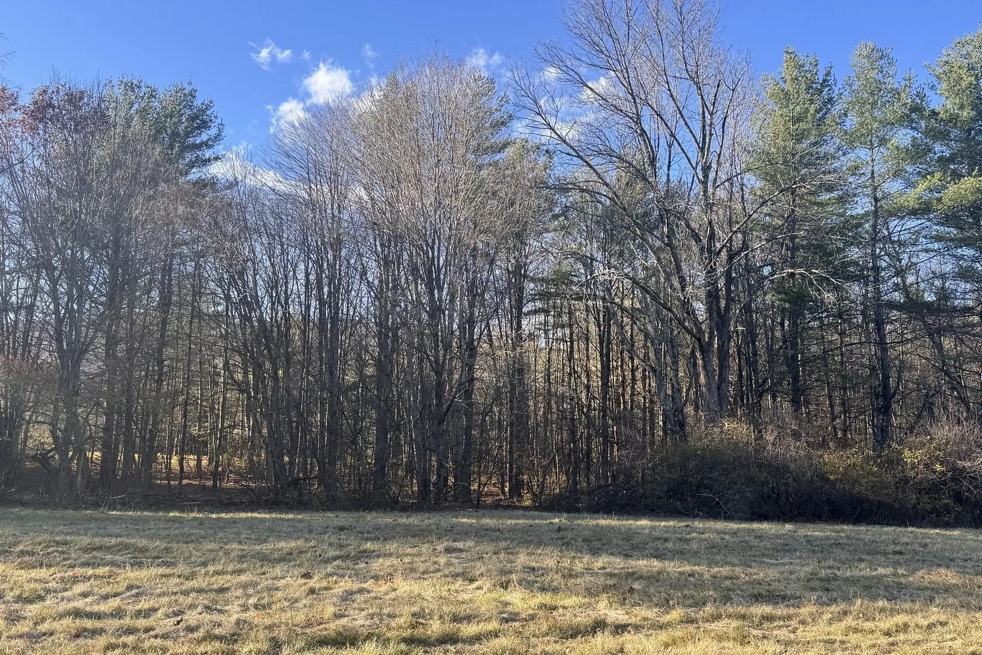 Lot 21 Sunderland Hill Road Sunderland VT 05250