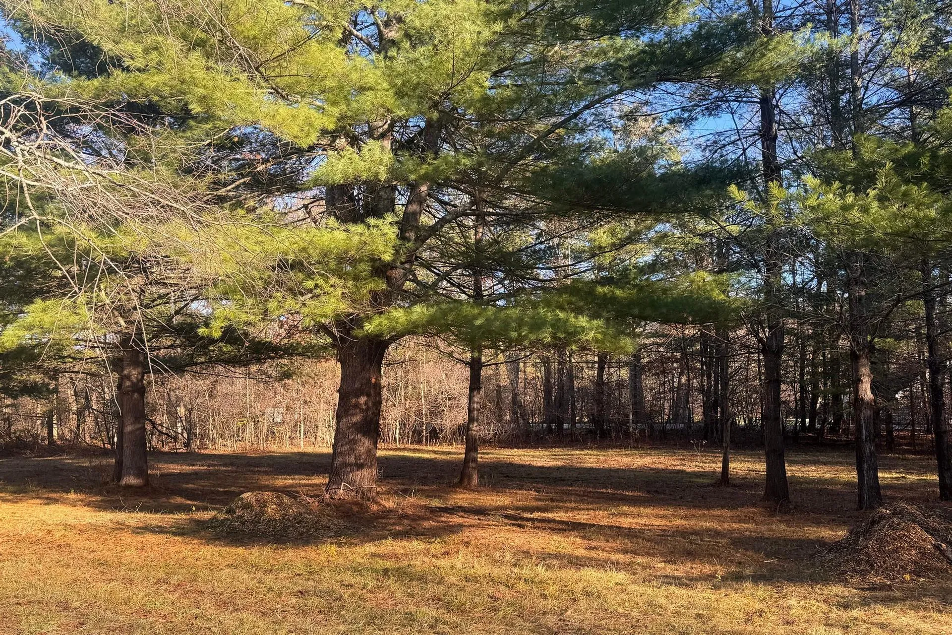 Lot 21 Sunderland Hill Road Sunderland VT 05250