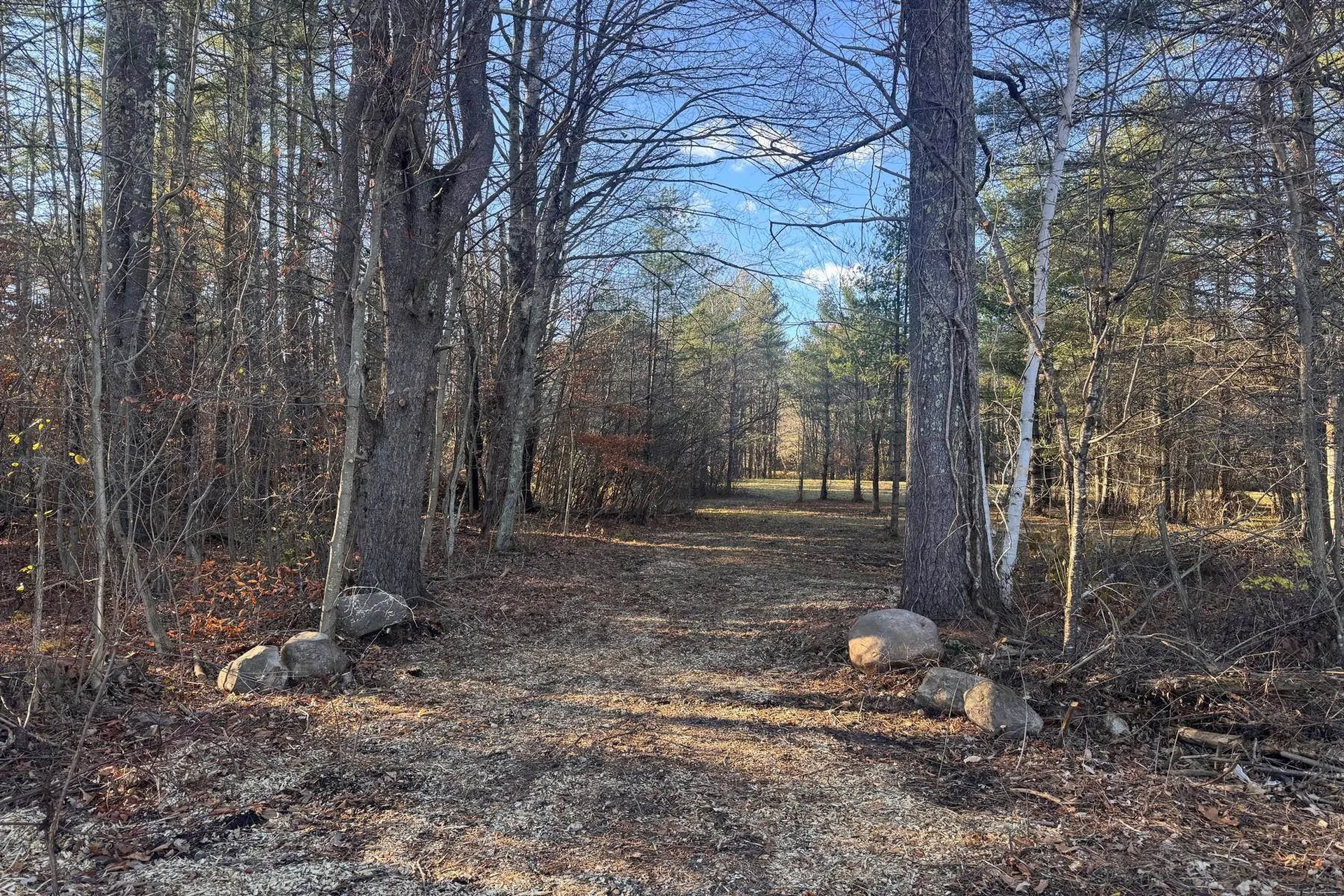 Lot 21 Sunderland Hill Road Sunderland VT 05250