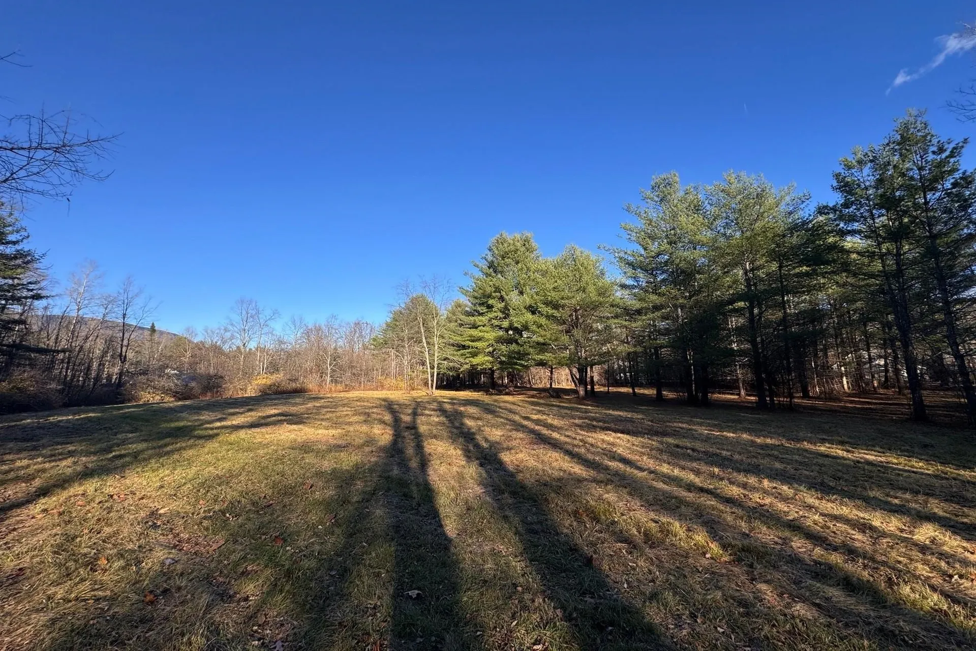 Lot 21 Sunderland Hill Road Sunderland VT 05250