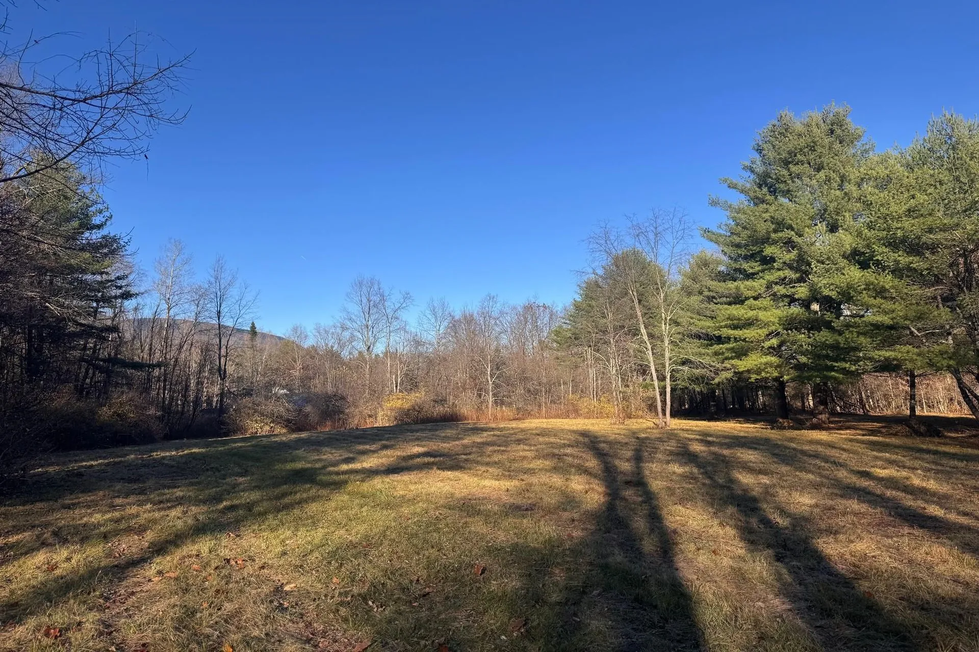 Lot 21 Sunderland Hill Road Sunderland VT 05250