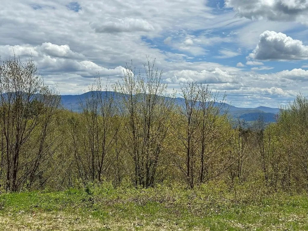 00 Robinson Springs Road Stowe VT 05672