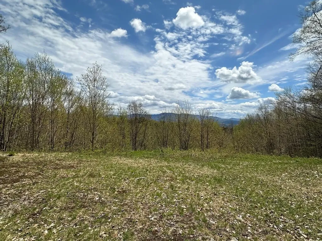 00 Robinson Springs Road Stowe VT 05672