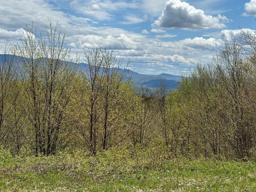 00 Robinson Springs Road Stowe VT 05672