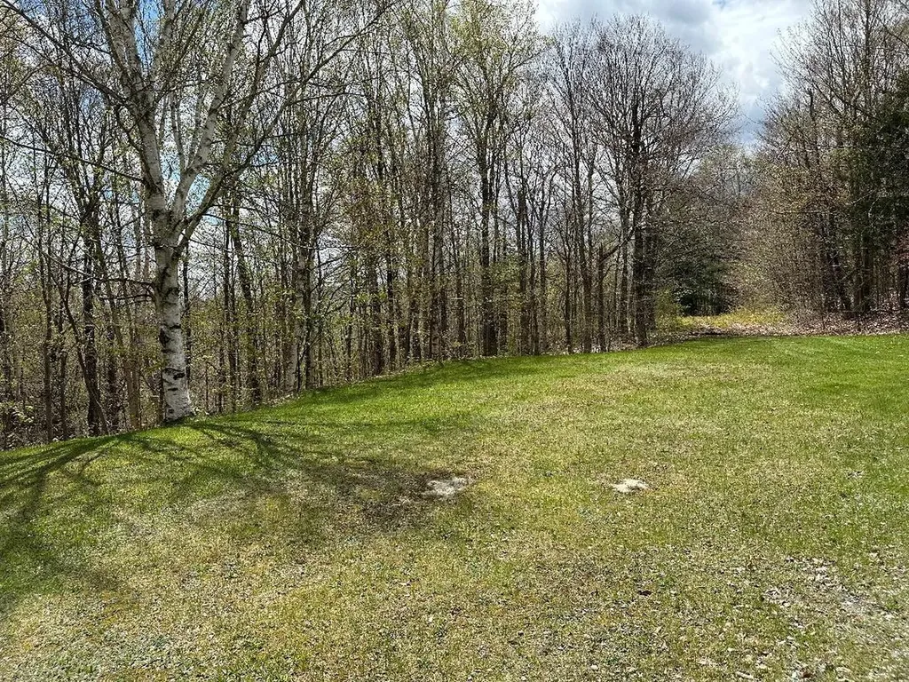 00 Robinson Springs Road Stowe VT 05672