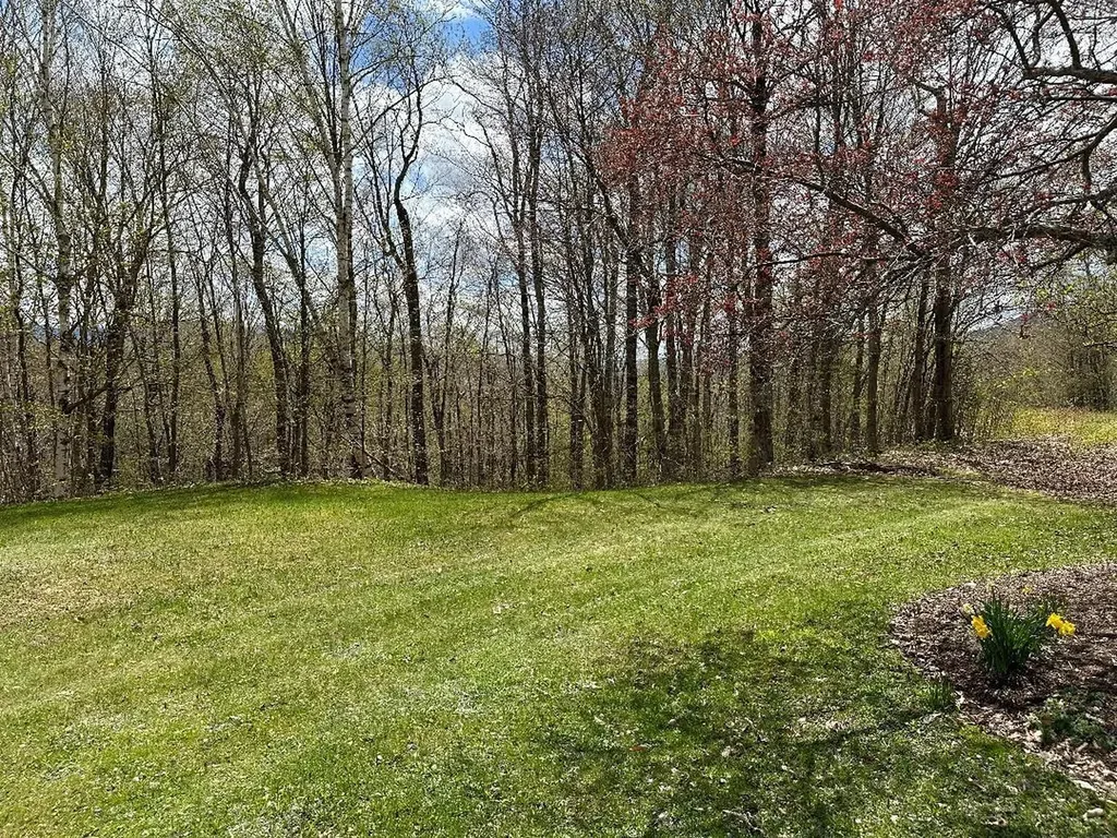 00 Robinson Springs Road Stowe VT 05672