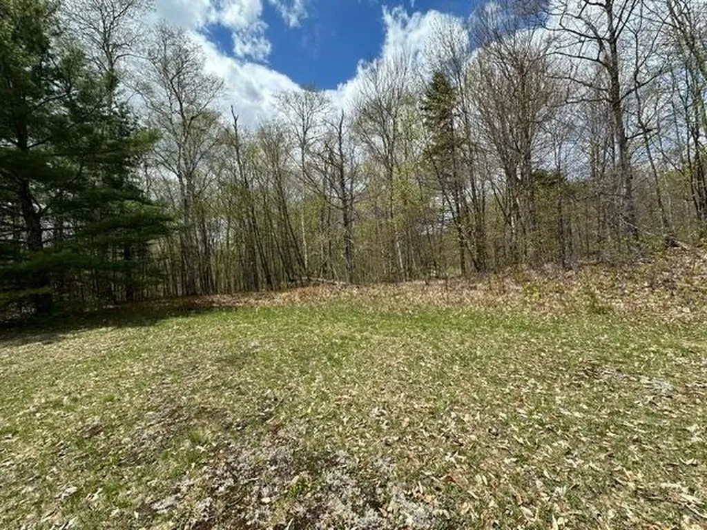 00 Robinson Springs Road Stowe VT 05672