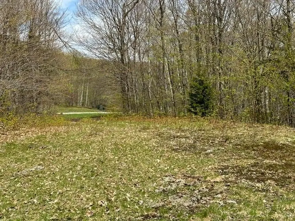 00 Robinson Springs Road Stowe VT 05672